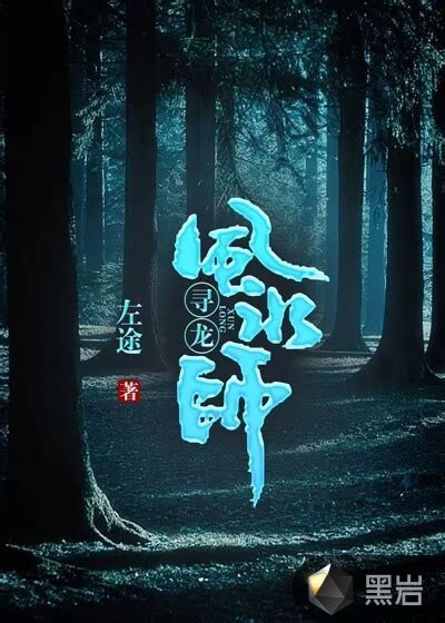 龍血風水師txt|龍血風水師 (灰小豬)